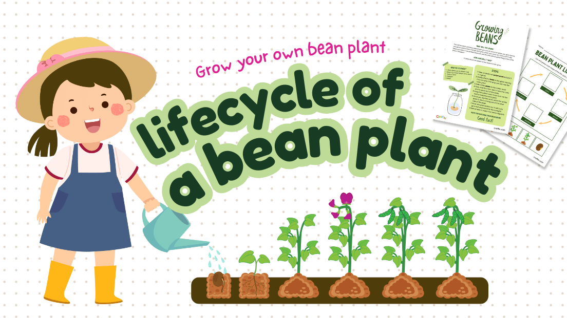 Grow Your Own Magic Beans! A Sprout-tacular Learning Adventure!