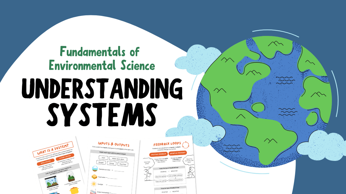 Discover How Our World Works through Systems & Feedbacks!