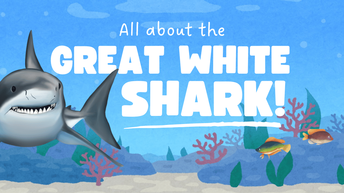 Jawsome Adventures Await: Explore the Great White Shark!