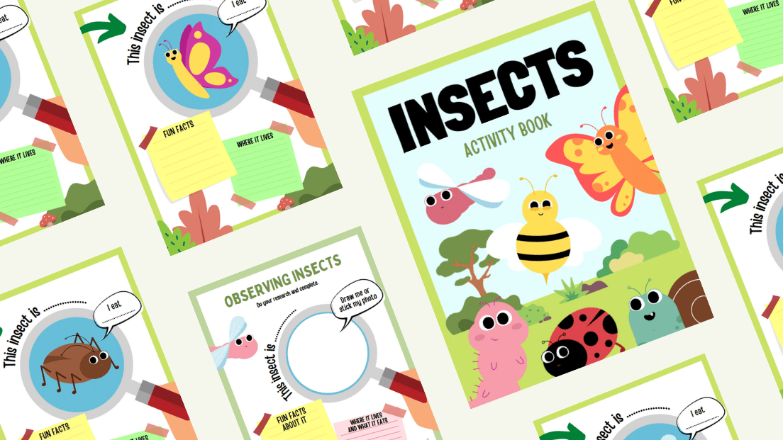 Uncover the Amazing World of Bugs with Our Printable Activity Book!