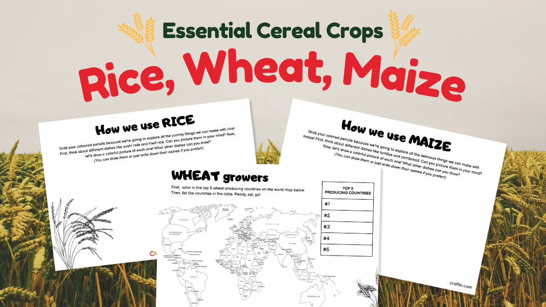 Essential cereal crops: Rice, Wheat, and Maize